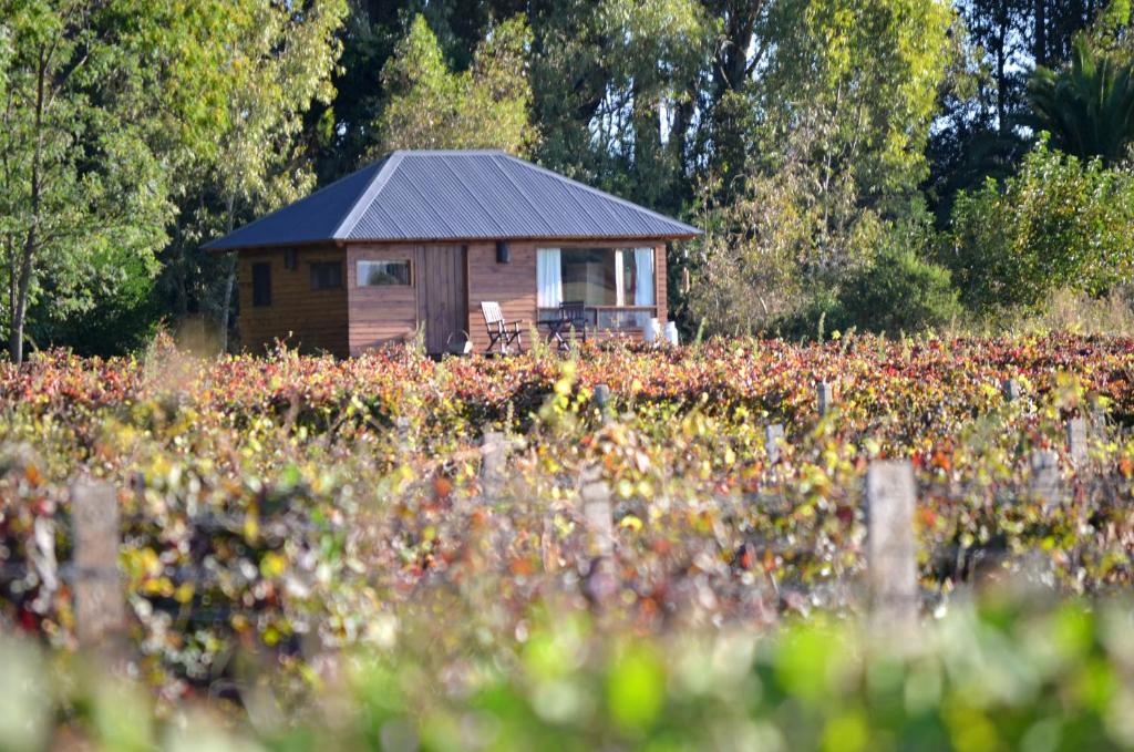 a cabin in the middle of a field of flowers at EntreViñas in Carmelo