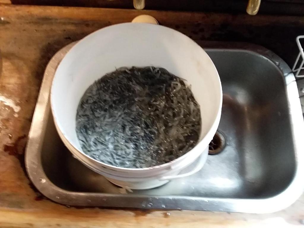 On the Beach - Resim 22