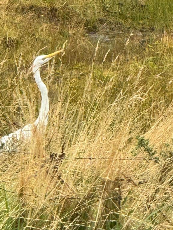 On the Beach - Resim 23
