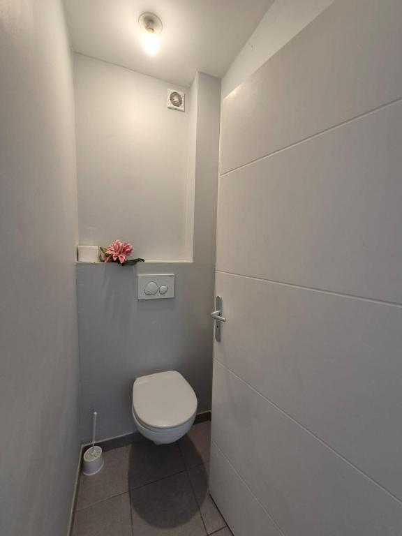 Koupelna v ubytování Foyal Toloman - Flanboyan lodge