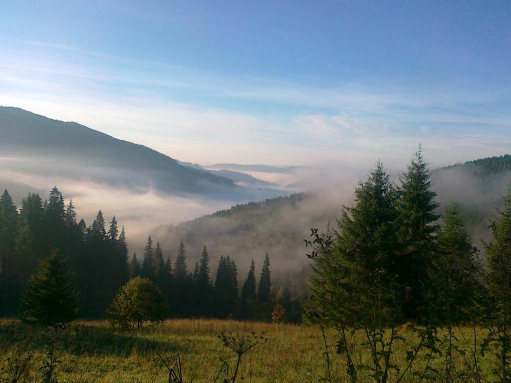 ein Feld mit Bäumen und Wolken in einem Tal in der Unterkunft Sadiba Pri Dorogi in Kossiw