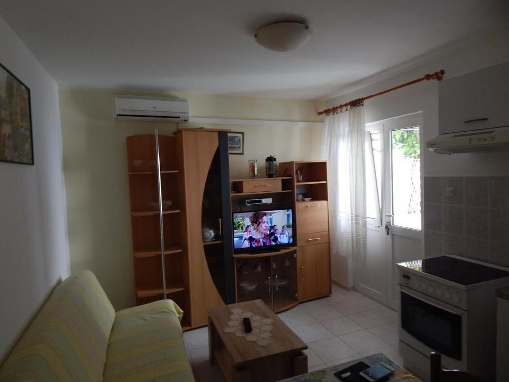 TV a/nebo společenská místnost v ubytování Apartments Zoki