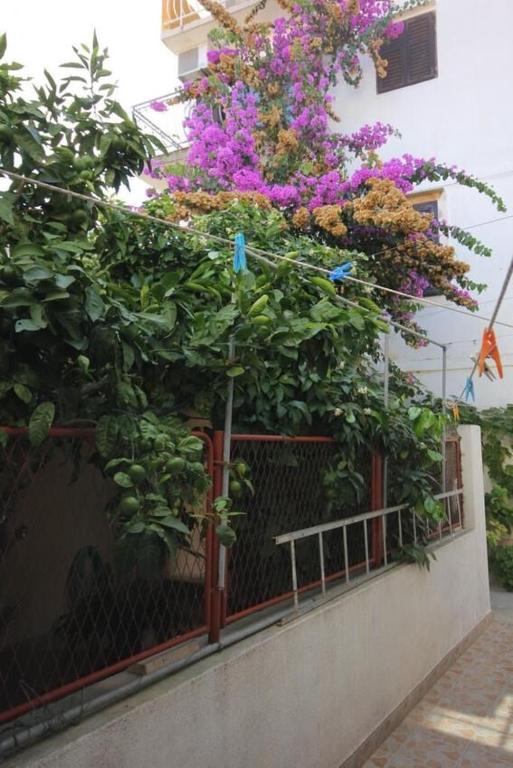 Zahrada ubytování Apartments Zoki