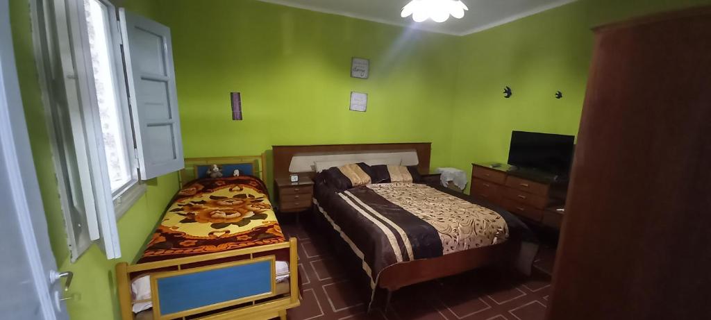 ein Schlafzimmer mit grünen Wänden, einem Bett und einem TV in der Unterkunft Departamento sobre la ruta en el centro in La Falda