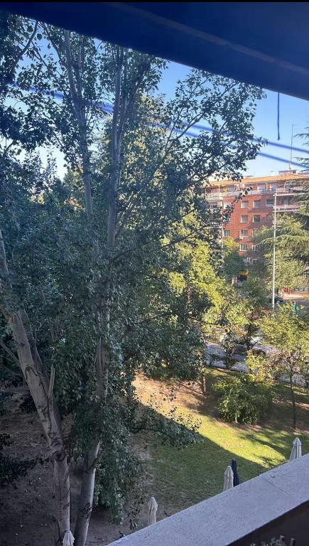 Zahrada ubytování Habitación Ada Madrid