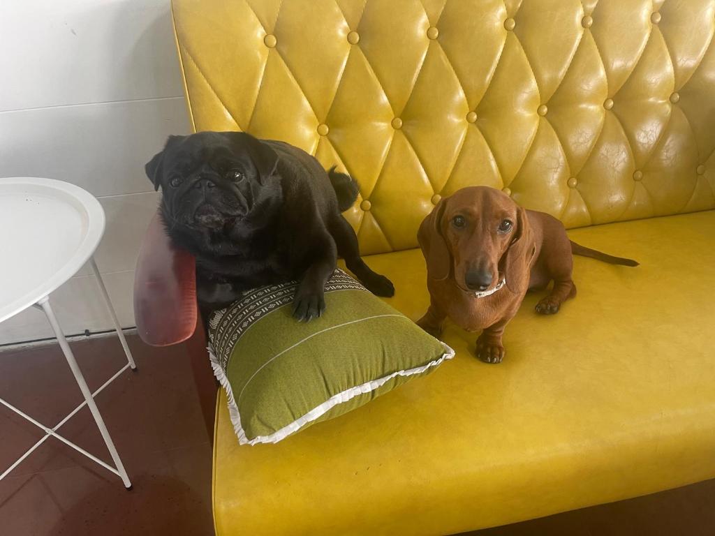 Skipper's Karon - 11