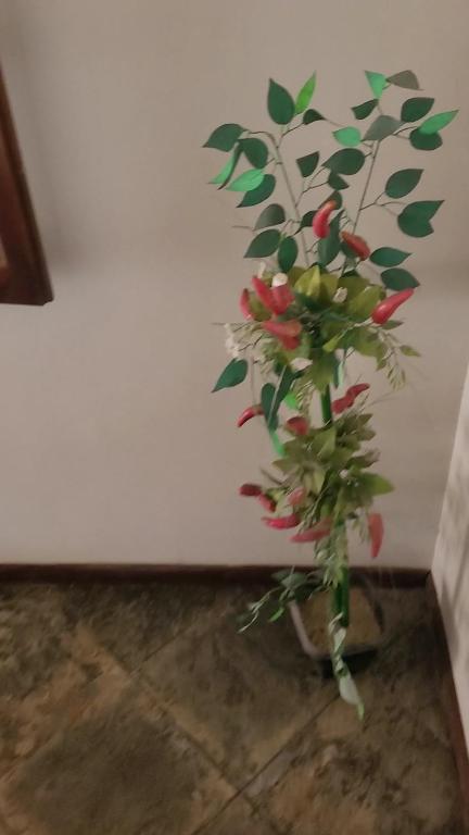 Фотография из галереи Cantinho do Aconchego в городе Сан-Педру-да-Алдея