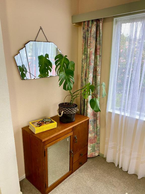 Central Mangere Bridge Gem - Resim 5