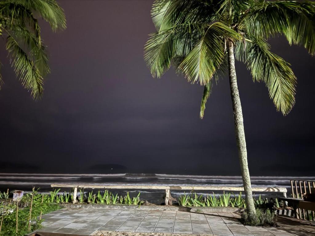 two palm trees on the beach with a dark sky at Oasis de Ubatuba in Ubatuba