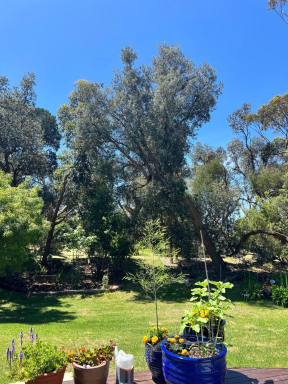 Giardino di Uringah