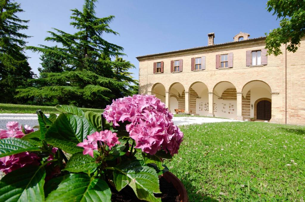 a pot of pink flowers in front of a building at Convento di San Francesco Mondaino in Mondaino