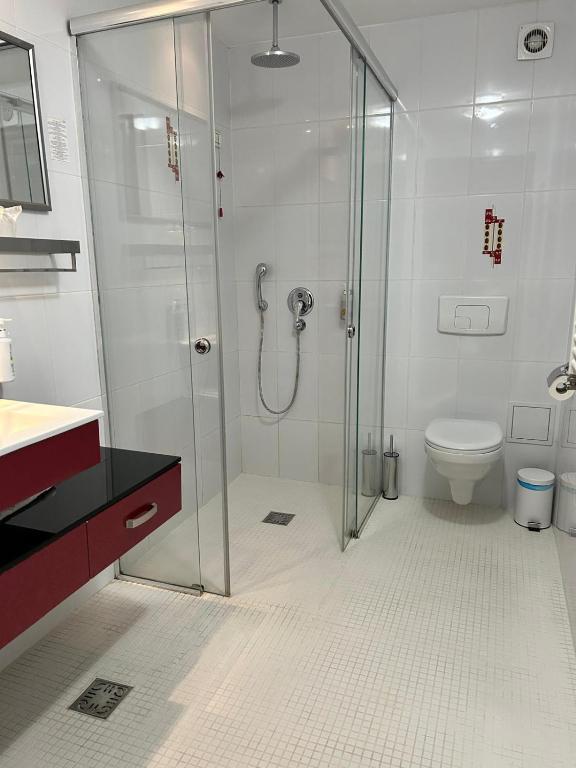 Hotel Bistrita - Deluxe Double Or Twin Room