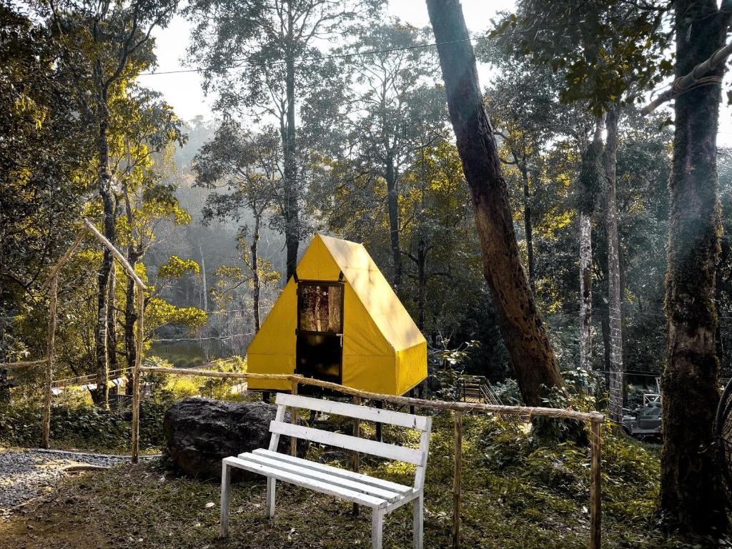 Příroda nedaleko luxury tent