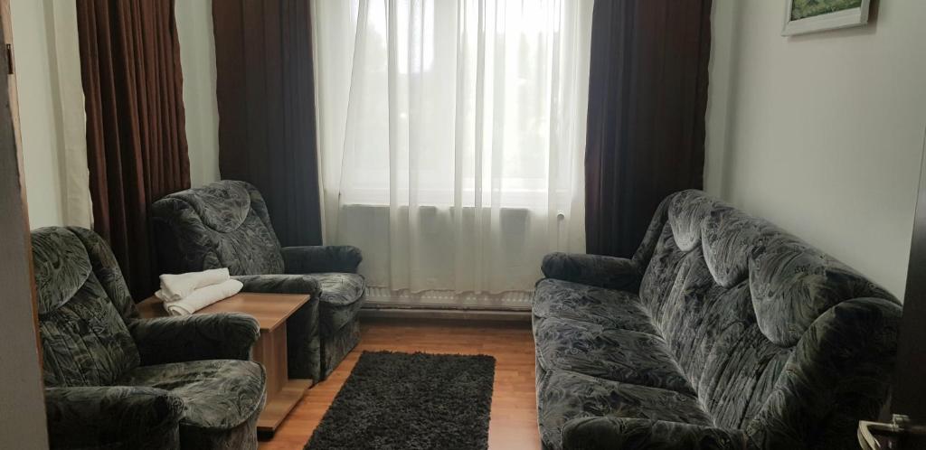 Posezení v ubytování Pensiunea Magnolia din Tismana