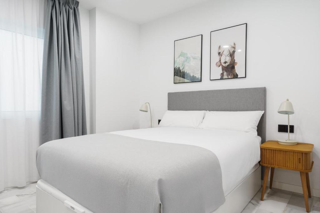 Limehome Jerez de la Frontera Marqués de Casa-Domecq - 13