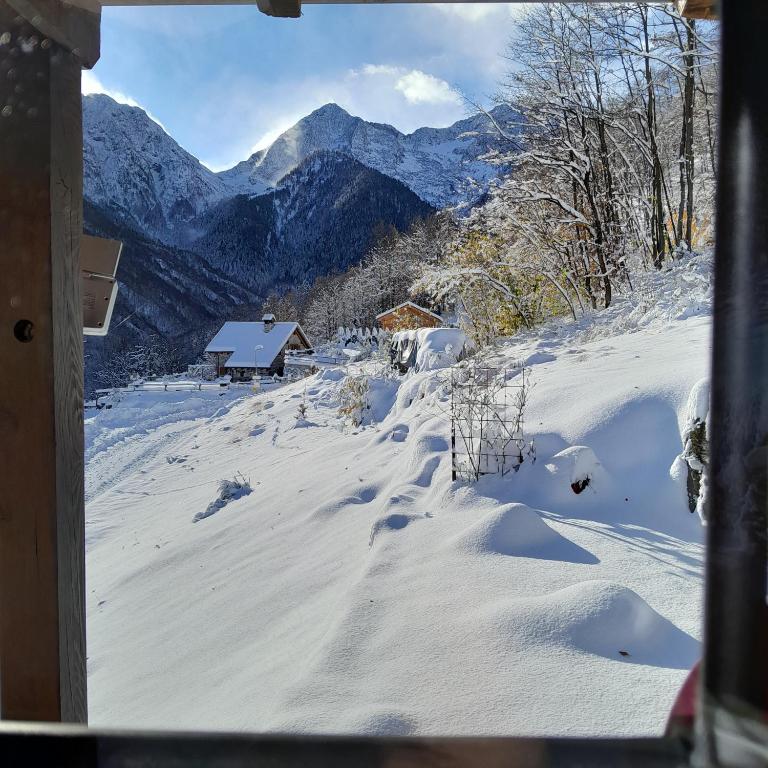 Príroda v okolí apartmánu