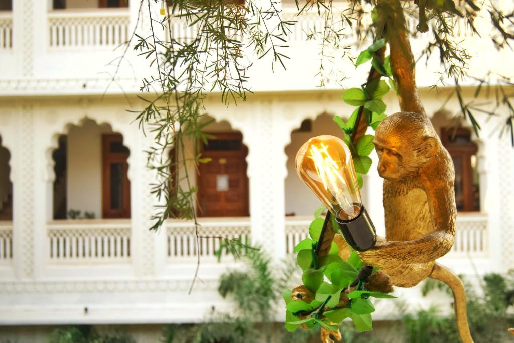 Fotografie z fotogalerie ubytování Banana Hostel Pushkar v destinaci Puškar