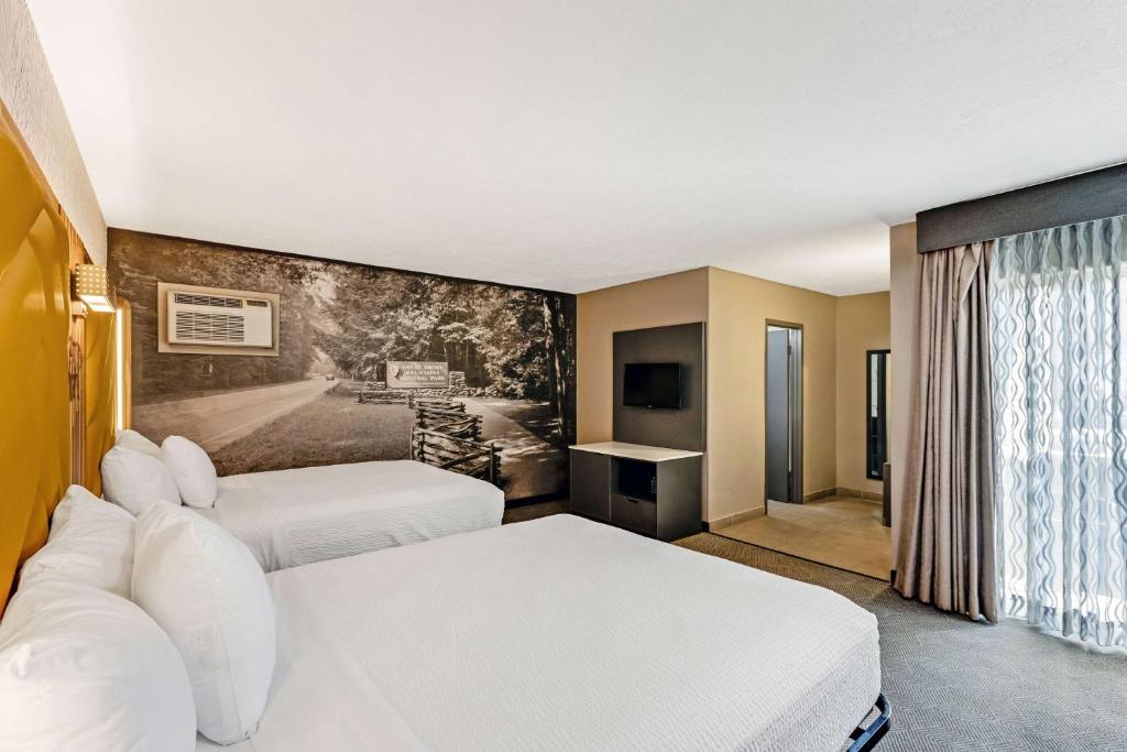 The Wander Hotel by Wyndham photo