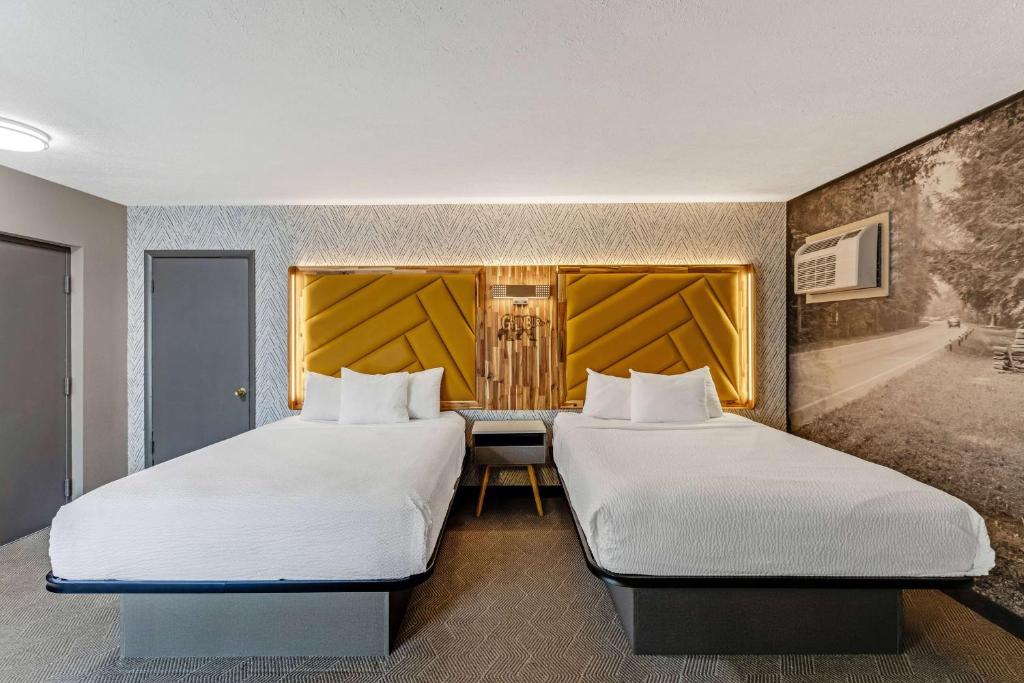The Wander Hotel by Wyndham photo
