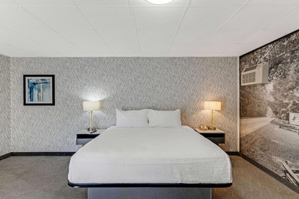 The Wander Hotel by Wyndham photo