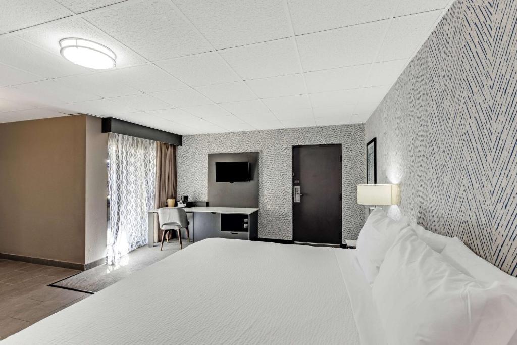 The Wander Hotel by Wyndham photo