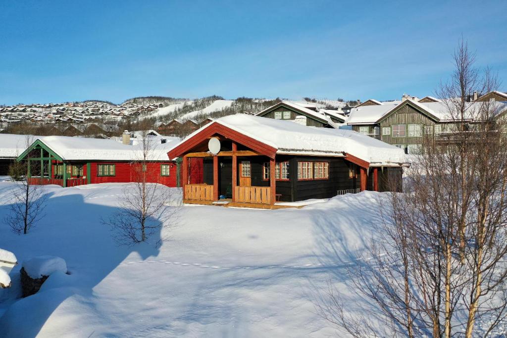 バイトストーレンにあるNostalgic Cabin with 3 BR, Fireplace, and Terraceの雪屋根の家