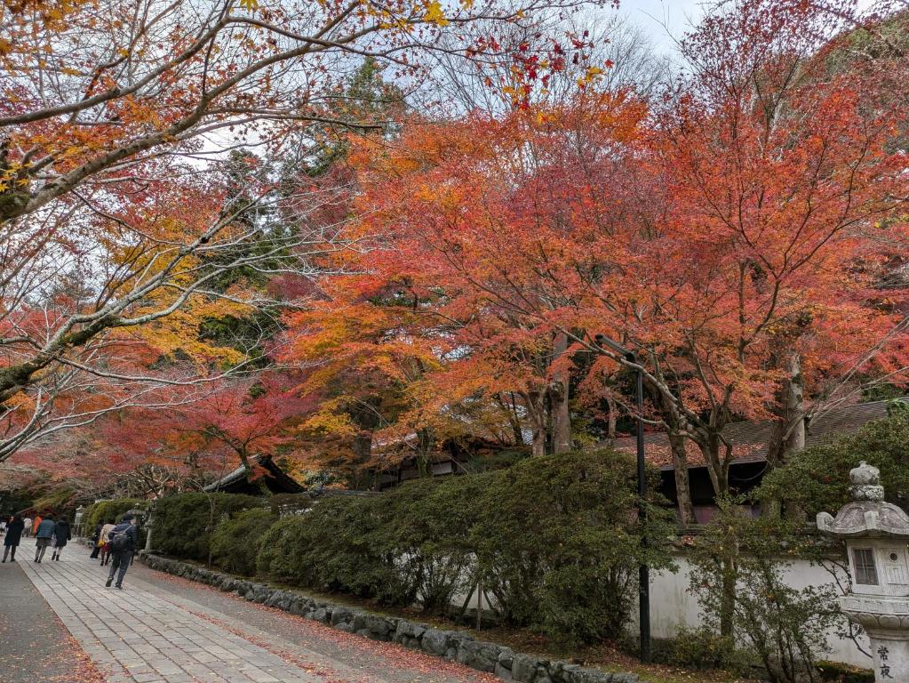 Fotografie z fotogalerie ubytování Villa Ishiyamadera ヴィラ 石山寺 v destinaci Ocu