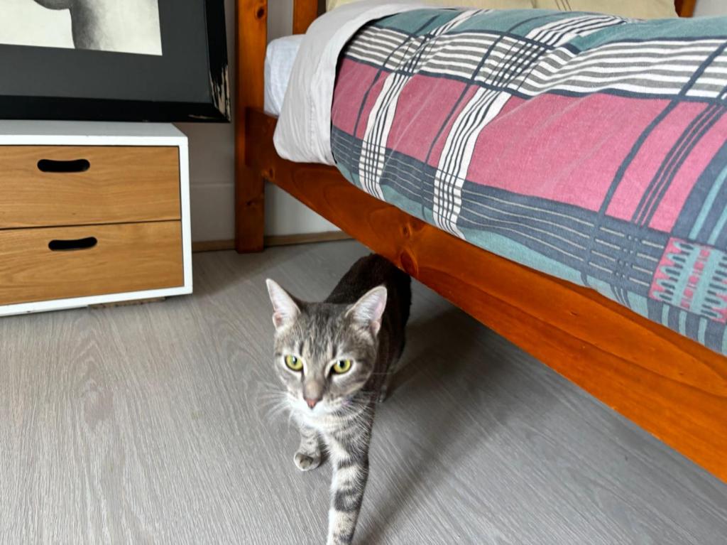 Epsom Red House - Resim 9