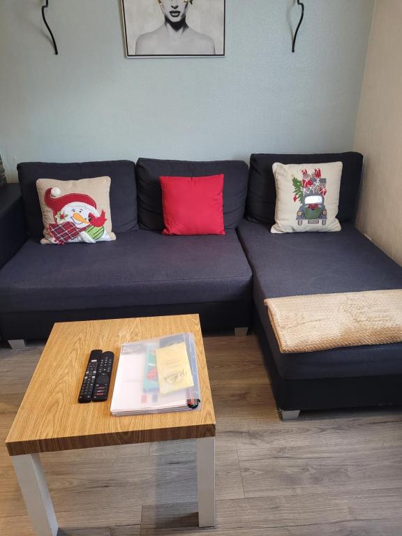 Appartement Au Cigogneau Wifi-Balcon-Parking – photo 18