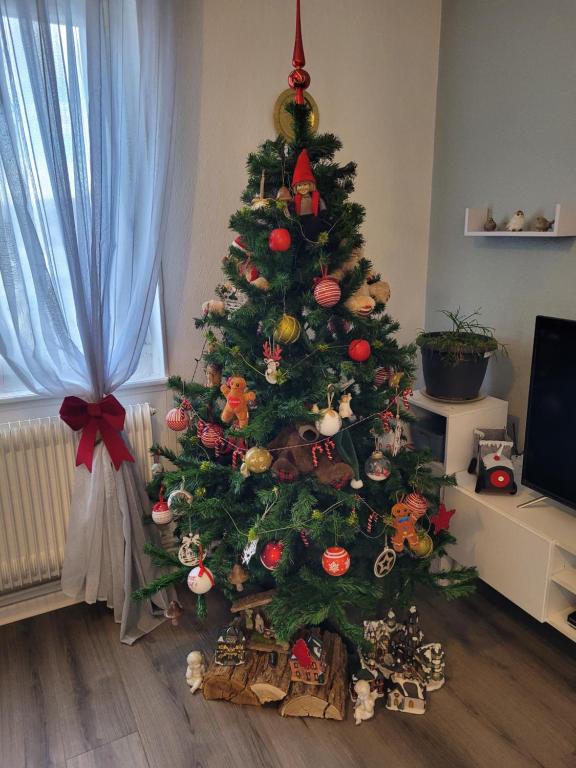Un árbol de Navidad con adornos en una habitación en Appartement Au Cigogneau Wifi-Netflix-Balcon-Parking, en Munster