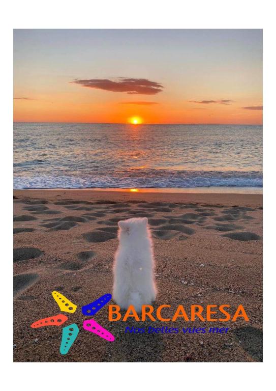 - deux articles de plage sur la plage avec le coucher du soleil en arrière-plan dans l'établissement BARCARESA-Villa cosy en bord de mer, idéalement située, au Barcarès