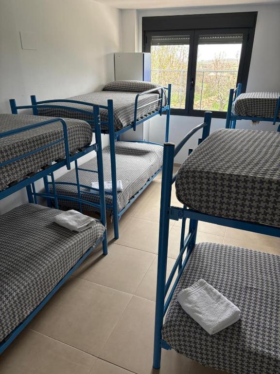 Albergue El Muro - Habitación Compartida Mixta De 8 Camas