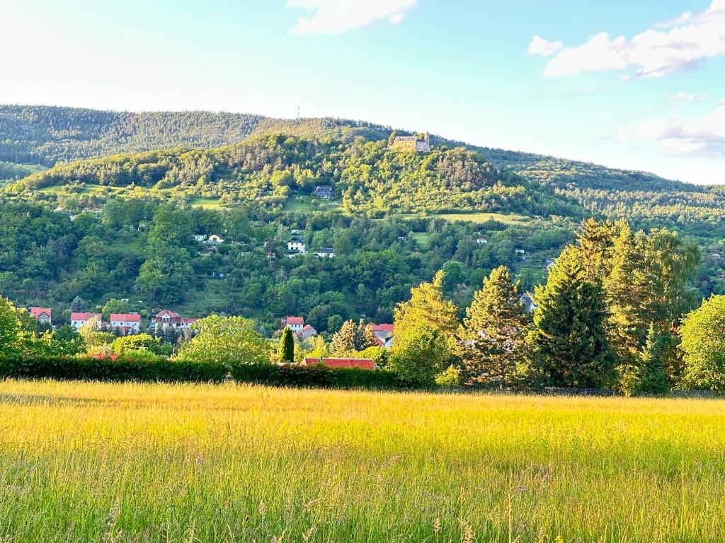 a view of a mountain with a field and trees at FeWo Burgblick in Bad Blankenburg