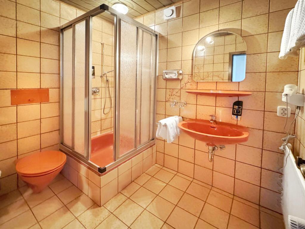 Wagners Fränkischer Hof - Standard Double Room