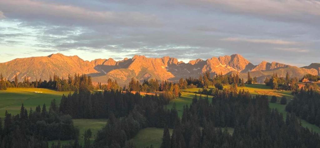 Pokoje u Nasyj Kasi - 17