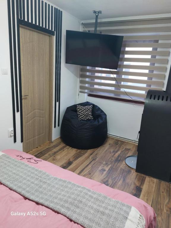 TV a/nebo společenská místnost v ubytování Refugiu Alpin Borsec