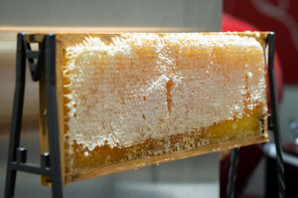 Hotel Ciutadella Barcelona - Resim 42