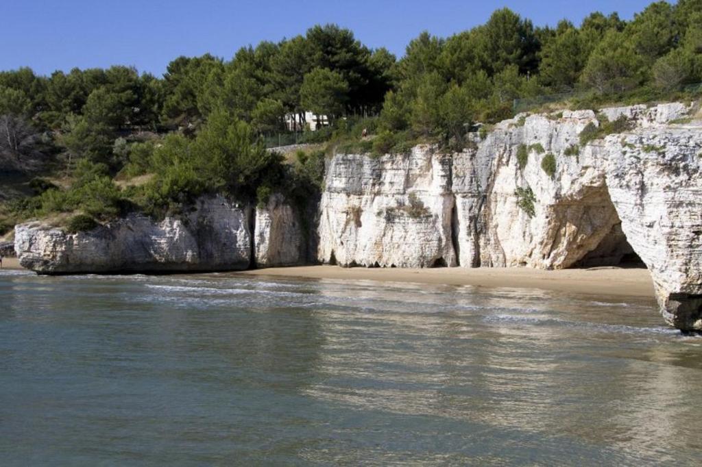 a sandy beach with a large white cliff at Green Garden Eco-Holiday in Vieste