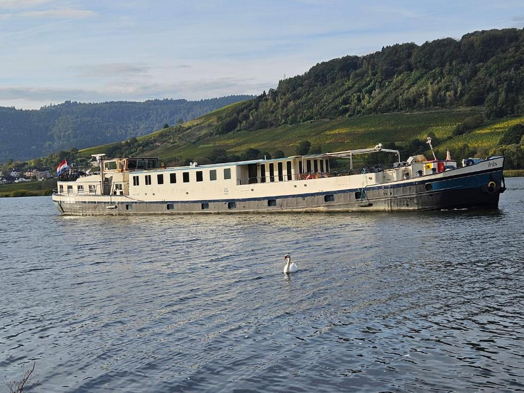 Φυσικό τοπίο κοντά σε αυτό το ξενοδοχείο