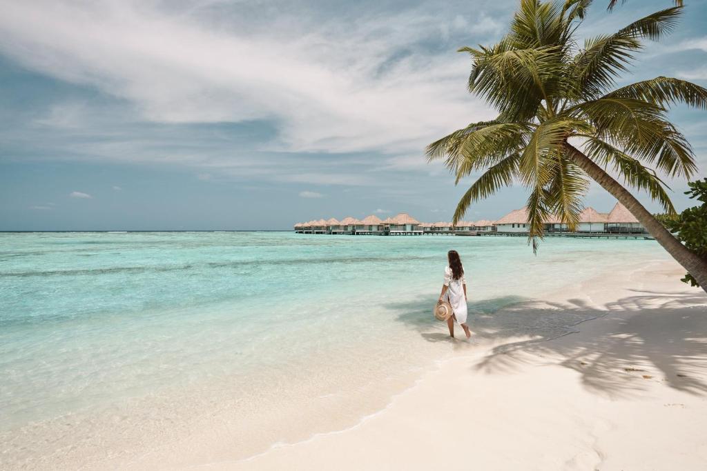 COMO Maalifushi - View 19