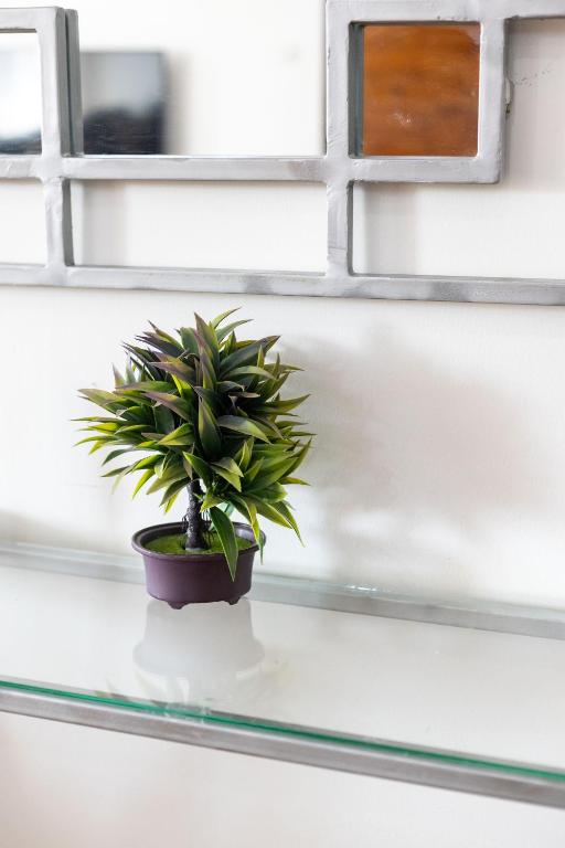 a plant sitting on a glass table in front of a window at Erica Residences - Riverside in Nairobi