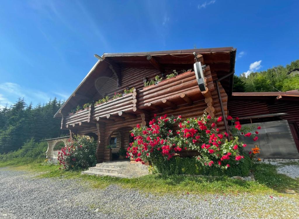 a log cabin with flowers in front of it at Hanul Prislop in Statiunea Borsa