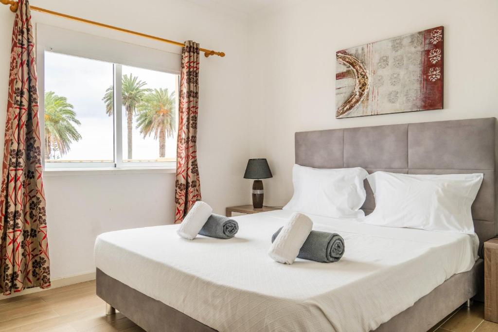 Apartamento Mãe de Deus - 1