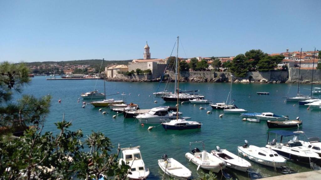 Príroda v okolí apartmánu