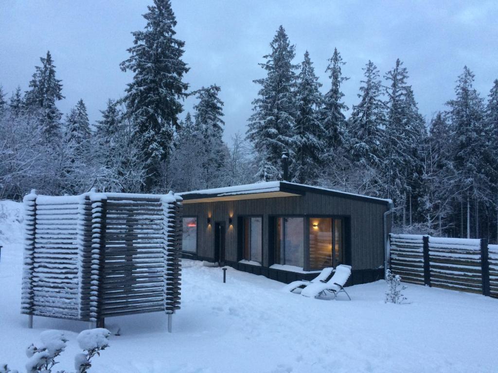 BERG & SPA HOTEL GABELBACH v zimě