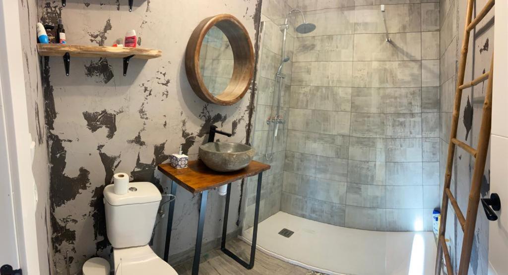 a bathroom with a shower and a toilet and a sink at Valley Balcony in Enveitg