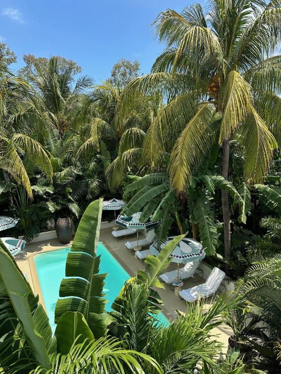 Bazén v ubytování Maison Tropical nebo v jeho okolí