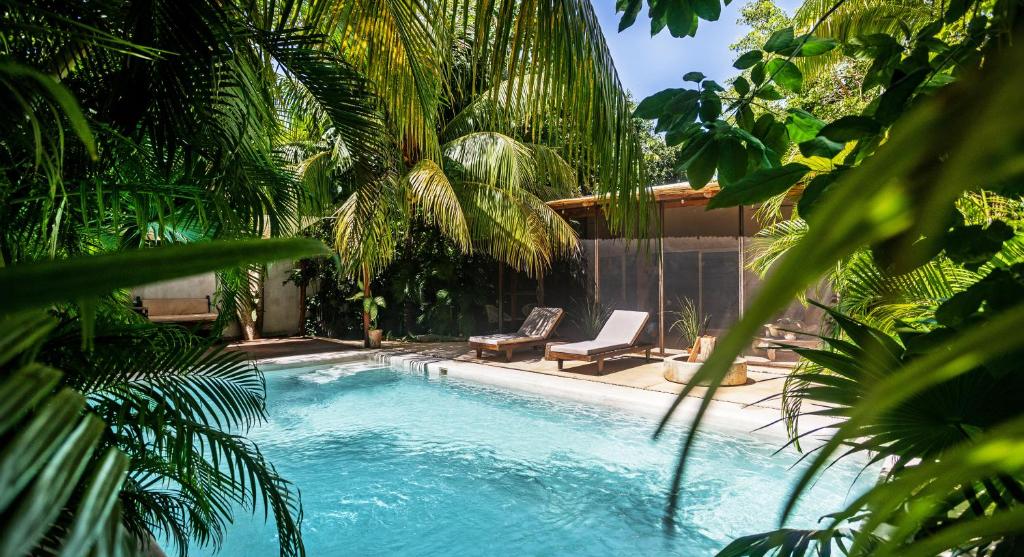 Πισίνα στο ή κοντά στο Exclusiva Villa en Tulum