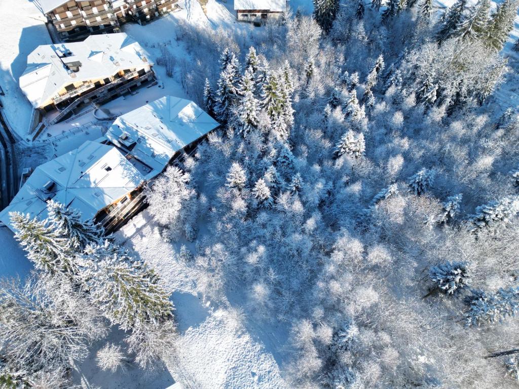 Le lodge de l alpage - Ski in ski out - 2 chambres 1 cabine v zimě