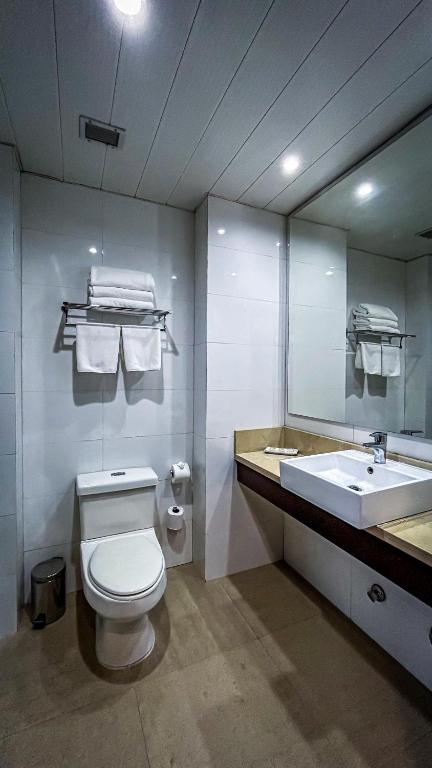 a bathroom with a toilet and a sink and a mirror at Ecohotel Talca in Talca